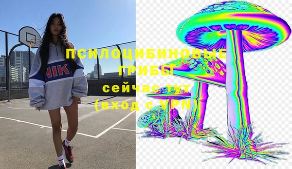 Альфа ПВП Медногорск