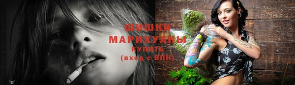 прущие грибы Мегион