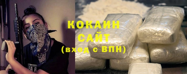 прущие грибы Мегион