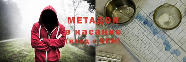 прущие грибы Мегион