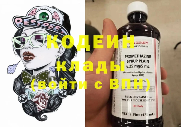 прущие грибы Мегион