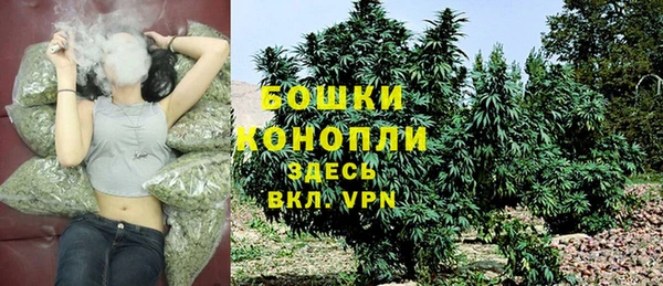 Альфа ПВП Медногорск