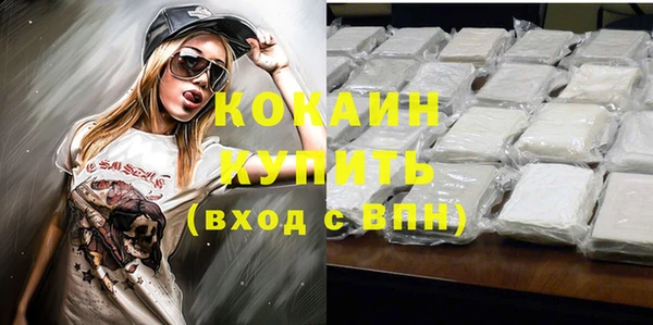 прущие грибы Мегион
