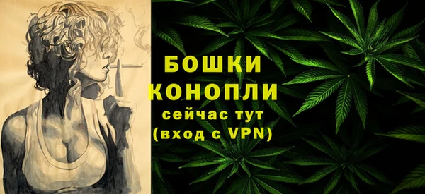 мдпв Болотное