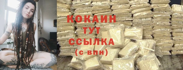 прущие грибы Мегион