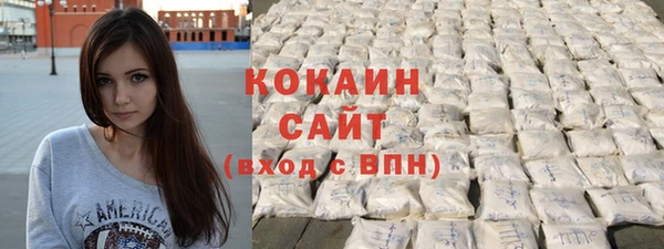 прущие грибы Мегион